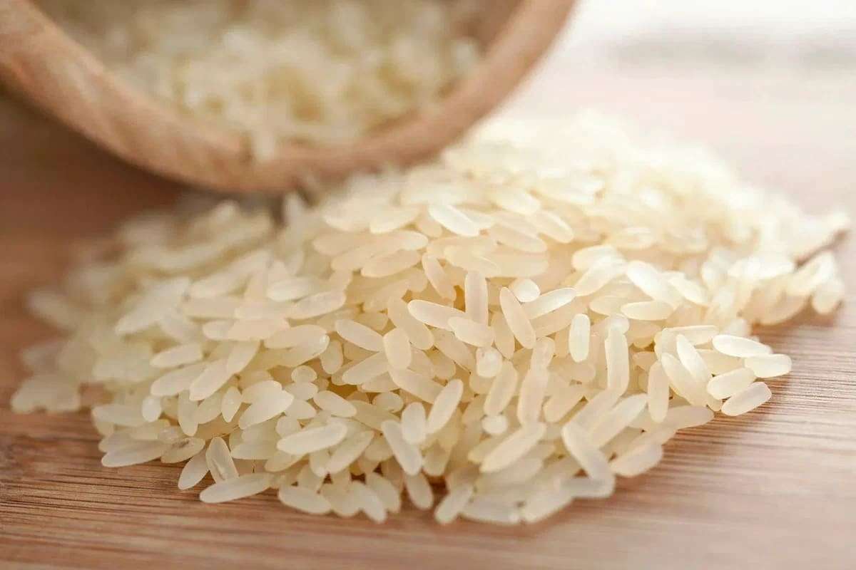 قیمت خرید برنج ایرانی فجر عمده به صرفه و ارزان